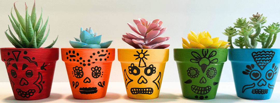 Five colorful pots with black skull designs, each holding different succulents.