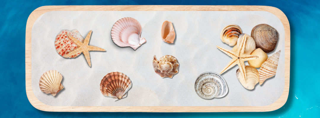 Seashells and starfish arranged on a wooden tray with a blue ocean background.